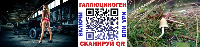 Галлюциногенные грибы MAGIC MUSHROOMS наркотики Опочка